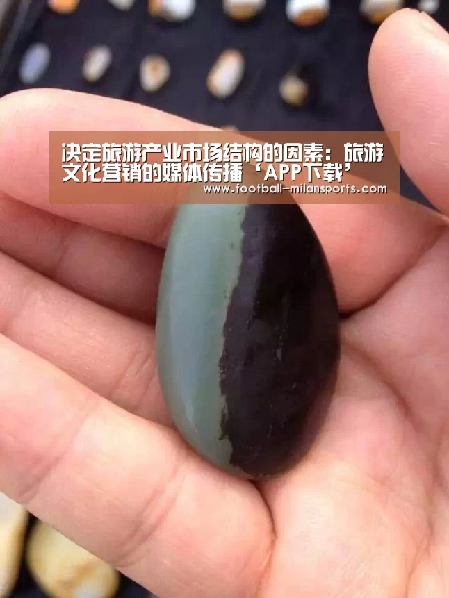 决定旅游产业市场结构的因素:旅游文化营销的媒体传播‘APP下载’(图2) APP下载