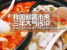 我国部署未来三年大气污染防治工作 明显减少重污染 提升蓝天幸福感-米兰体育入口(图3) APP下载