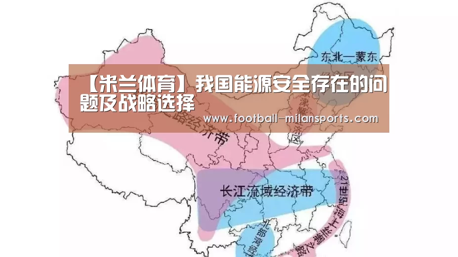【米兰体育】我国能源安全存在的问题及战略选择(图3) 米兰体育