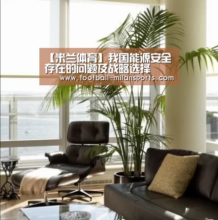 【米兰体育】我国能源安全存在的问题及战略选择(图1) 米兰体育