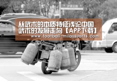 从武术的本质特征浅论中国武术的发展走向【APP下载】(图3) APP下载