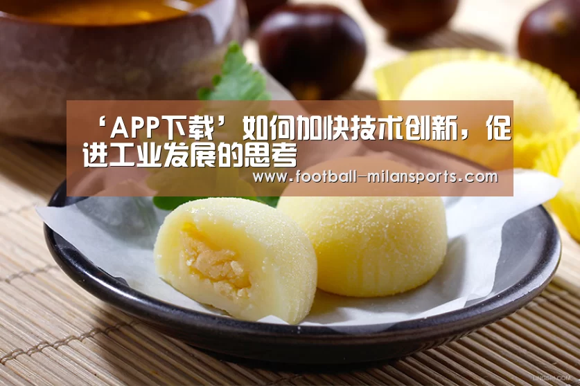 ‘APP下载’如何加快技术创新,促进工业发展的思考(图3) 米兰体育入口