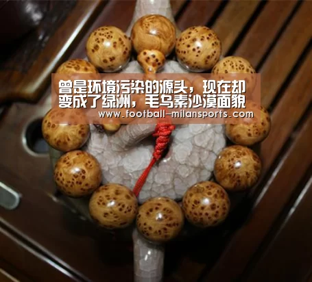 曾是环境污染的源头,现在却变成了绿洲,毛乌素沙漠面貌一新‘米兰体育’(图2) APP下载