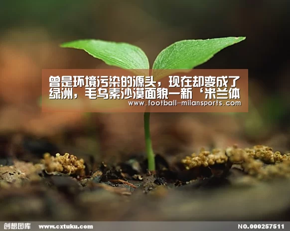 曾是环境污染的源头,现在却变成了绿洲,毛乌素沙漠面貌一新‘米兰体育’(图3) 米兰体育入口