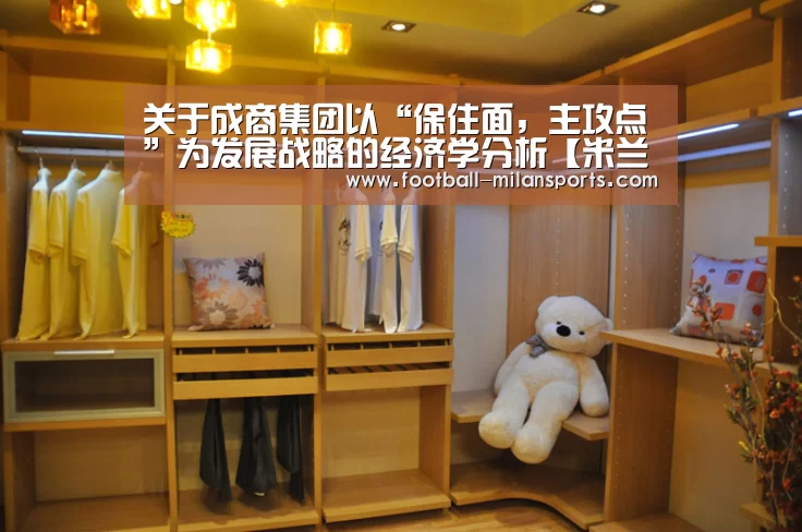 关于成商集团以“保住面，主攻点”为发展战略的经济学分析【米兰体育入口】(图2)